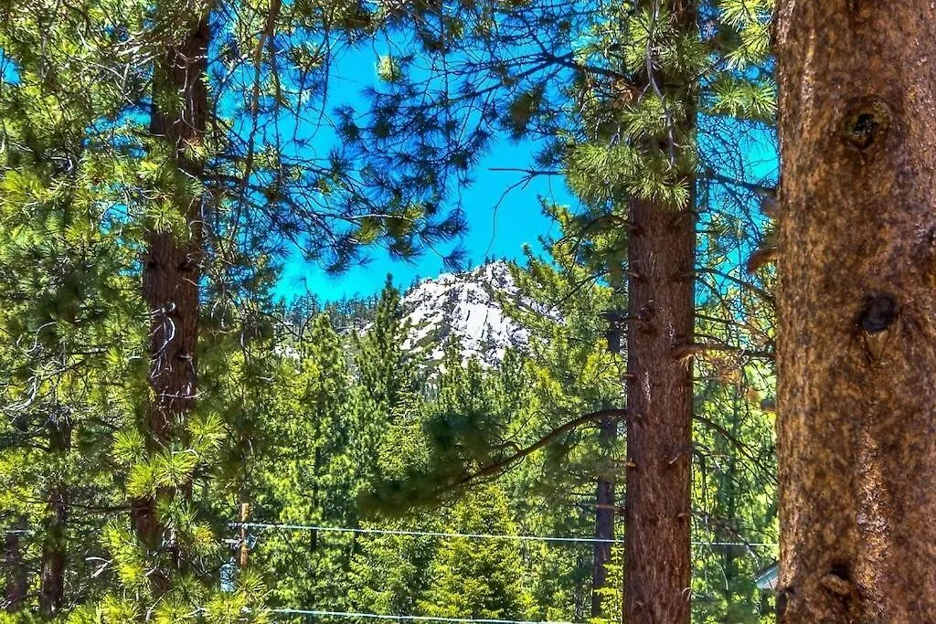 別荘 Air-Conditioned Tahoe Cabin - Foosball - Forest Views サウス・レイクタホ 米国